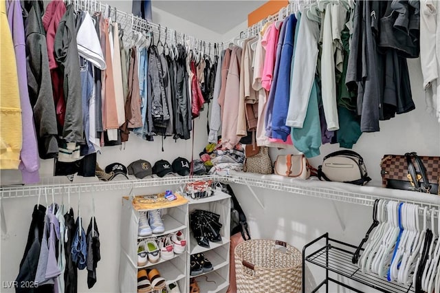 2711 Briarcliff Ave, Henderson, NV 89074 - view of walk in closet
