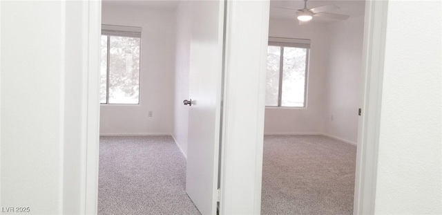 5710 E Tropicana Ave Unit 2178, Las Vegas, NV 89122 - hall with carpet floors and healthy amount of natural light