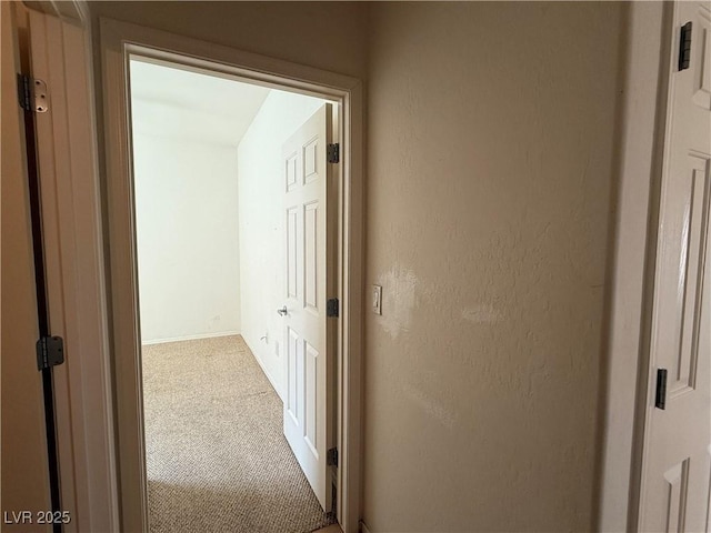 3508 Kittiwake Rd, North Las Vegas, NV 89084 - corridor with carpet and baseboards