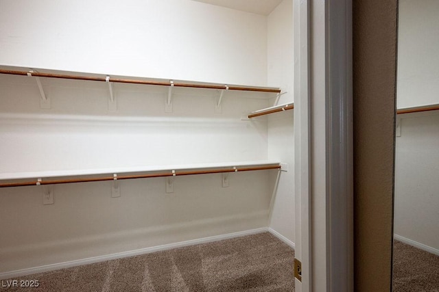 5017 Kaibab Forest Ave, Las Vegas, NV 89141 - spacious closet with carpet floors