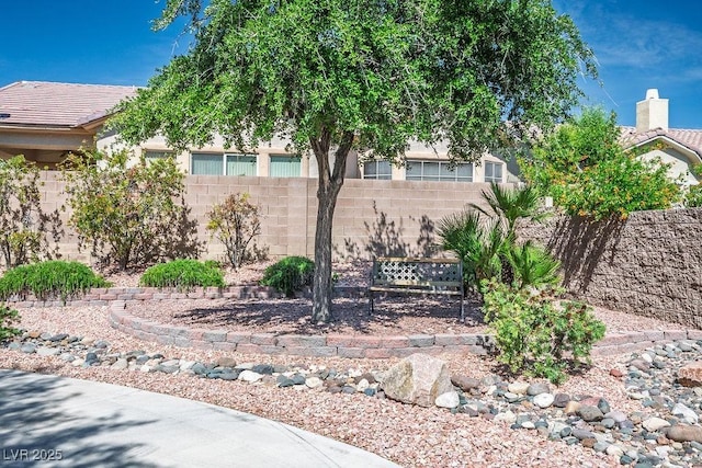 5017 Kaibab Forest Ave, Las Vegas, NV 89141 - view of yard