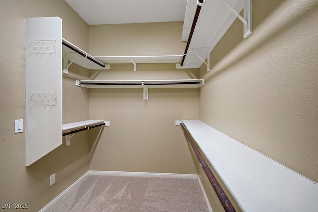 8544 Garden Valley Ct, Las Vegas, NV 89178 - spacious closet with carpet flooring