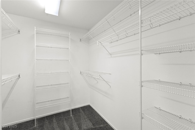 11755 Garland Grove Ln, Las Vegas, NV 89183 - view of spacious closet