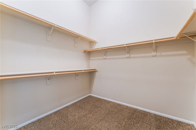 6125 Paddleboat St, North Las Vegas, NV 89031 - walk in closet with carpet