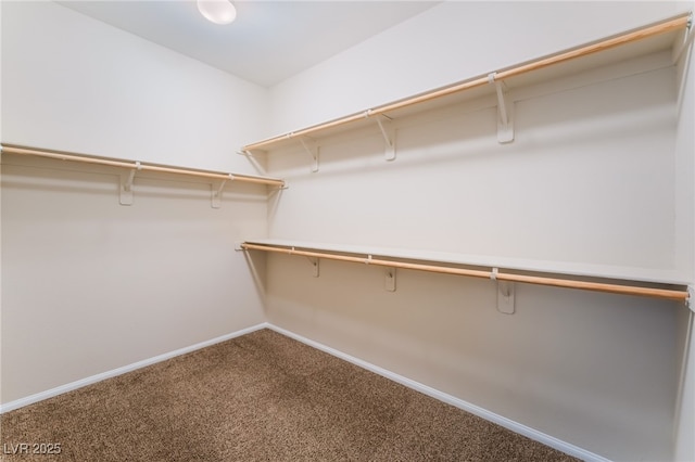 6125 Paddleboat St, North Las Vegas, NV 89031 - spacious closet with carpet