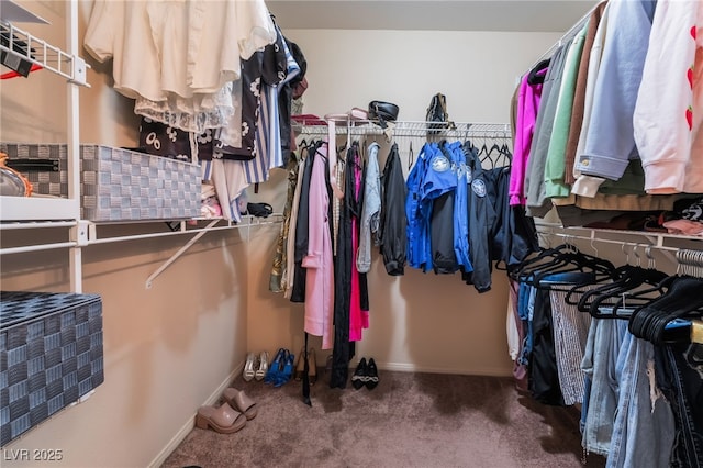 3950 S Sandhill Rd Unit 130, Las Vegas, NV 89121 - walk in closet featuring carpet