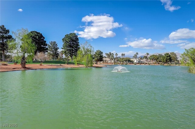5157 Future Dr, Las Vegas, NV 89130 - water view