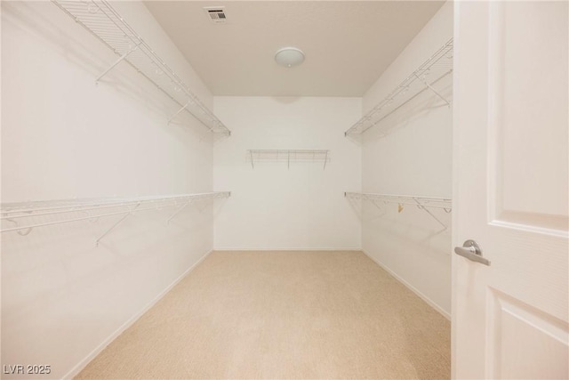 3405 Kingbird Dr, North Las Vegas, NV 89084 - spacious closet with light carpet
