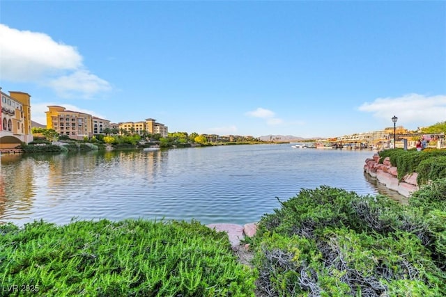 164 Cabo Cruces Dr, Henderson, NV 89011 - photo 44
