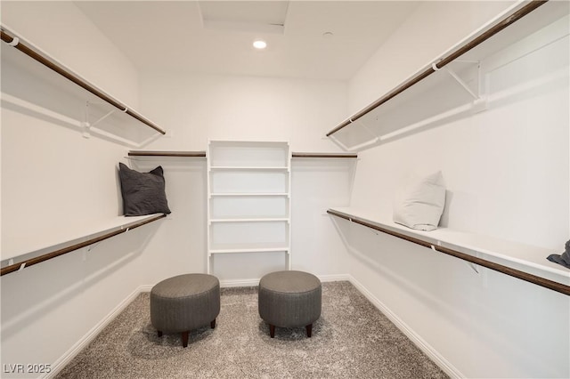 9588 Archer Peak Ct, Las Vegas, NV 89143 - spacious closet with carpet