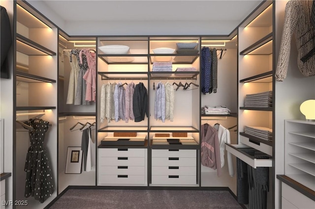 6288 Dolosonte St, Las Vegas, NV 89113 - walk in closet with carpet floors
