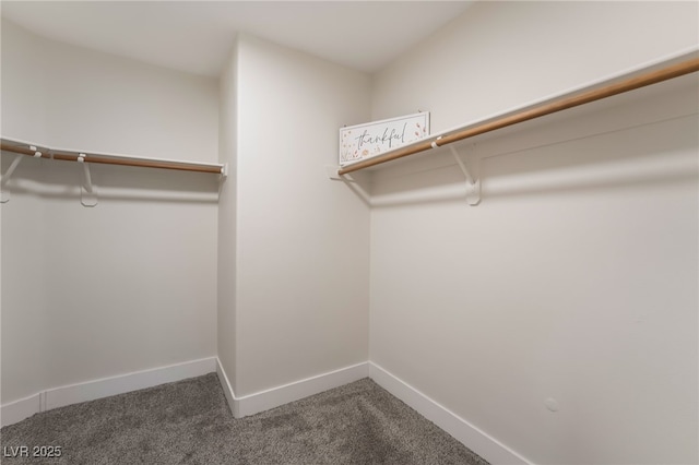 9705 Standard Ave, Las Vegas, NV 89129 - spacious closet featuring carpet floors