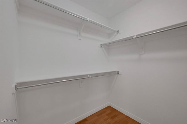 4197 Bottiglia Ave, Las Vegas, NV 89141 - walk in closet featuring light wood-style flooring