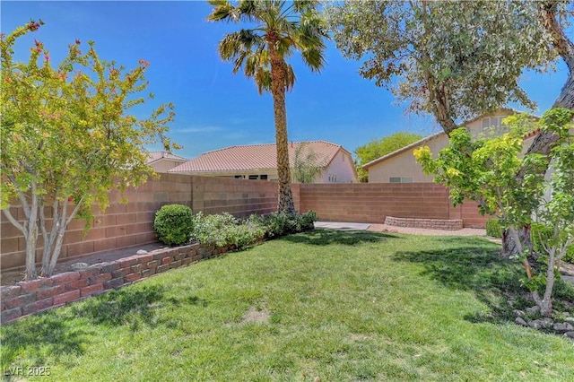 4197 Bottiglia Ave, Las Vegas, NV 89141 - view of yard