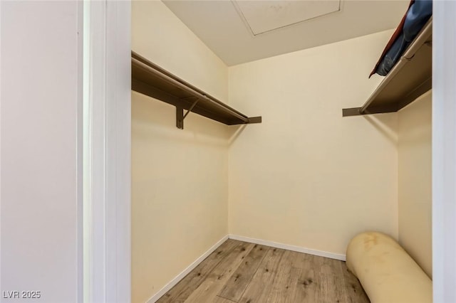 5241 Caspian Springs Dr Unit 203, Las Vegas, NV 89120 - photo 19