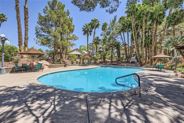 5241 Caspian Springs Dr Unit 203, Las Vegas, NV 89120 - photo 4