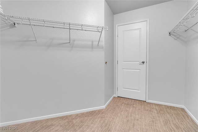 8255 Las Vegas Blvd Unit 719, Las Vegas, NV 89123 - walk in closet featuring light carpet