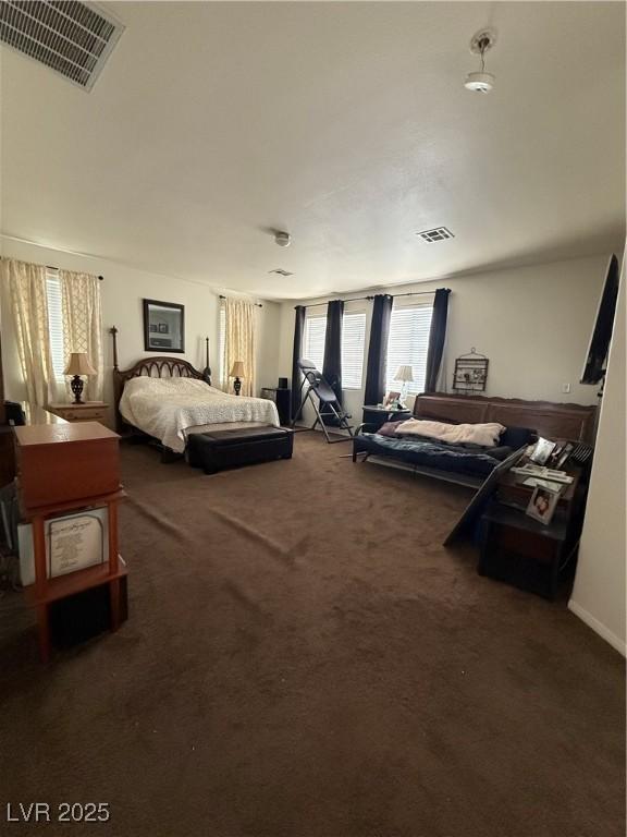 11457 Steponia Bay St, Las Vegas, NV 89141 - view of carpeted bedroom