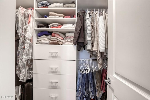 459 Astillero St, Las Vegas, NV 89138 - view of closet