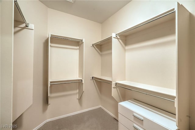 2144 Marywood Park Ct, Henderson, NV 89044 - spacious closet with carpet flooring