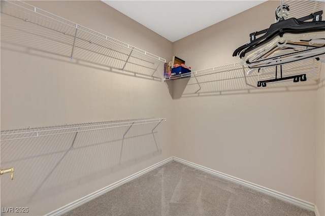 467 Beardsley Cir, Henderson, NV 89052 - walk in closet featuring carpet flooring