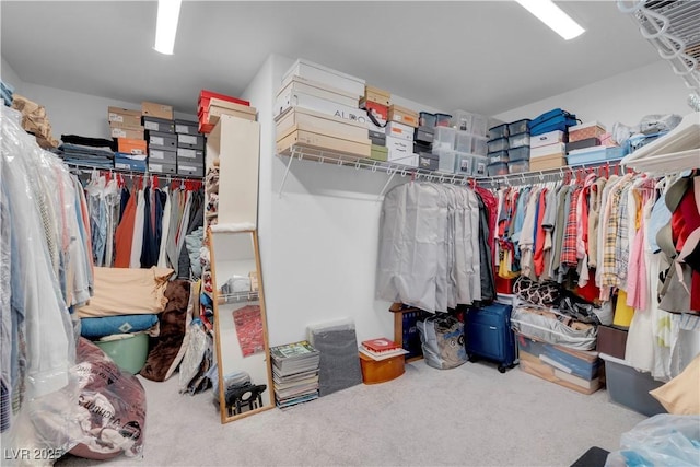 7260 Grace Estate Ave, Las Vegas, NV 89113 - spacious closet with carpet flooring