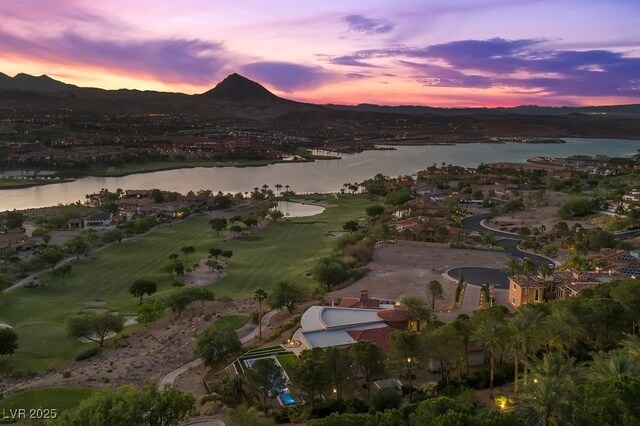 1 Costa Del Sol Ct, Henderson, NV 89011 - photo 77