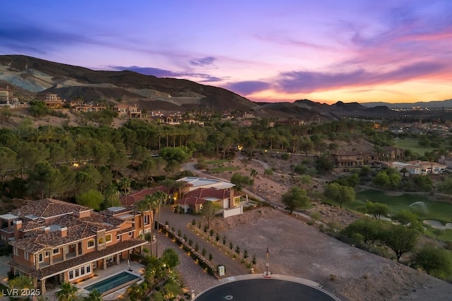 1 Costa Del Sol Ct, Henderson, NV 89011 - photo 91