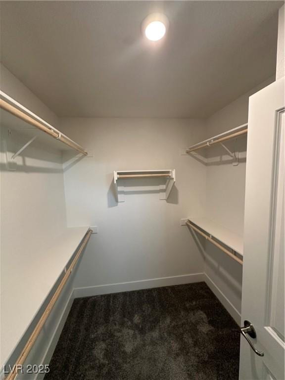 4633 Fragrant St, North Las Vegas, NV 89031 - walk in closet with carpet flooring