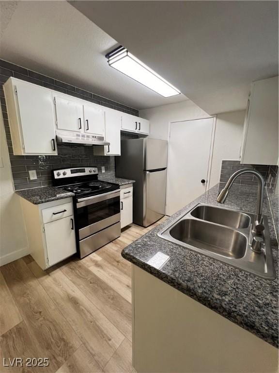 5260 Mission Monterey Ln Unit 208, Las Vegas, NV 89107 - kitchen featuring stainless steel appliances, a sink, under cabinet range hood, light wood-type flooring, and backsplash