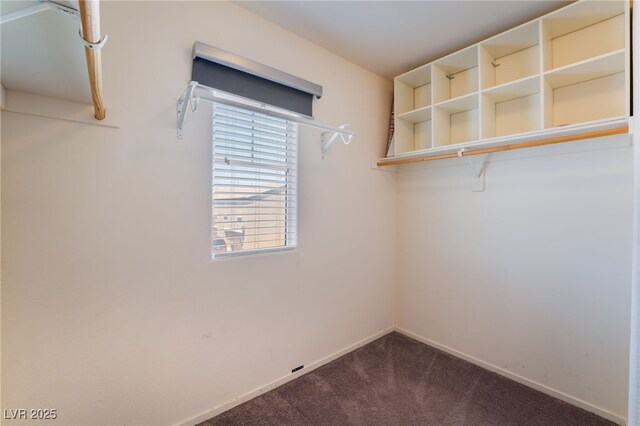 4610 Lime Straight Dr, Las Vegas, NV 89115 - spacious closet with dark colored carpet