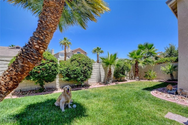 4835 Willow Glen Dr, Las Vegas, NV 89147 - view of yard
