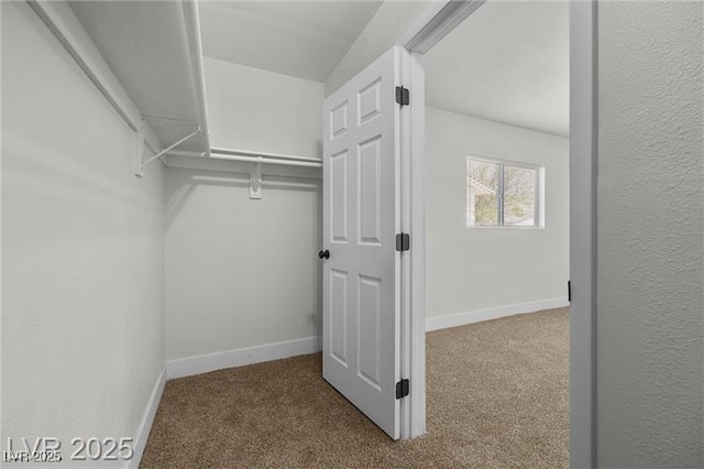 728 Carpenter Dr, Las Vegas, NV 89107 - walk in closet with carpet