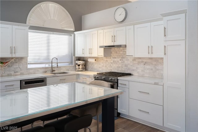 2549 Sundew Ave, Henderson, NV 89052 - kitchen featuring a sink, stainless steel range with gas stovetop, under cabinet range hood, and decorative backsplash