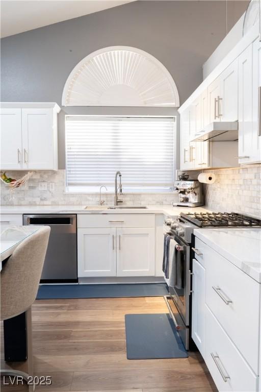 2549 Sundew Ave, Henderson, NV 89052 - kitchen featuring appliances with stainless steel finishes, a sink, under cabinet range hood, white cabinetry, and light wood-type flooring