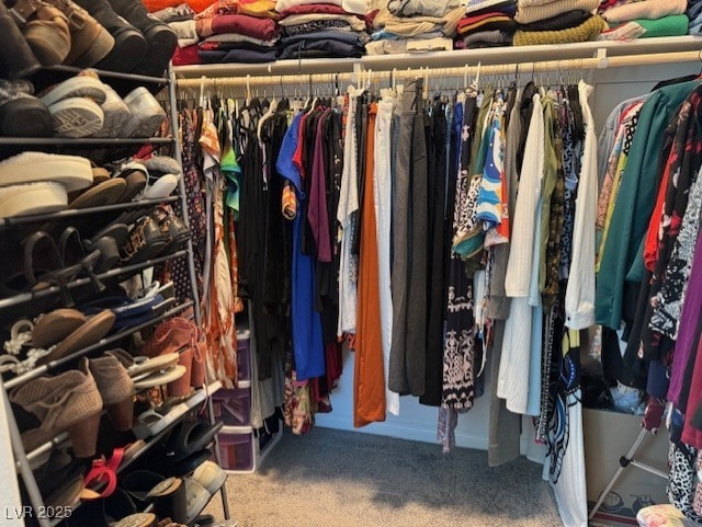411 Hellebores Ave, North Las Vegas, NV 89084 - spacious closet featuring carpet