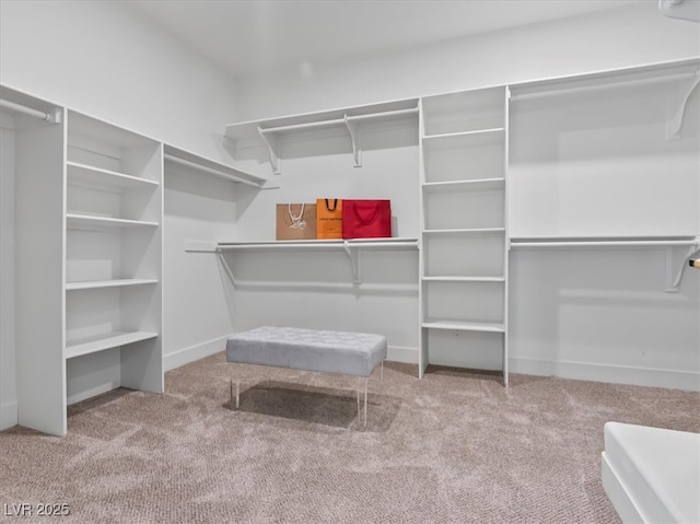 21 Sawgrass Ct, Las Vegas, NV 89113 - walk in closet with carpet