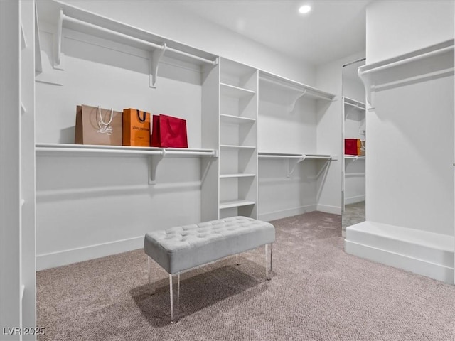 21 Sawgrass Ct, Las Vegas, NV 89113 - walk in closet with carpet flooring