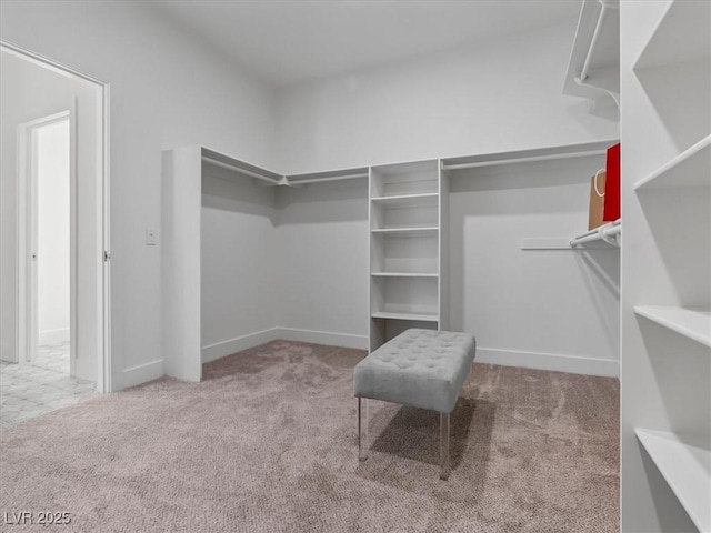 21 Sawgrass Ct, Las Vegas, NV 89113 - walk in closet featuring carpet floors
