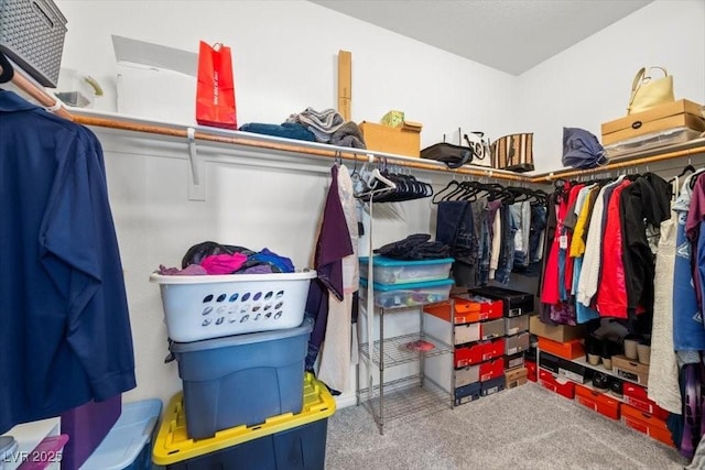 4308 Brazil Palm Ct, North Las Vegas, NV 89032 - walk in closet with carpet flooring
