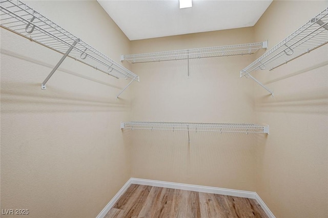 6255 W Arby Ave Unit 258, Las Vegas, NV 89118 - walk in closet with wood finished floors