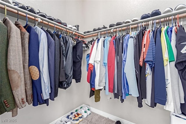 3929 Reyes Ave, Las Vegas, NV 89141 - spacious closet with carpet