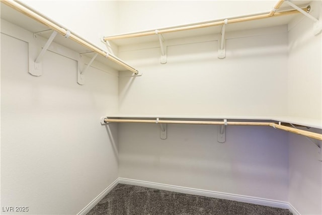 7265 Southern Magnolia St, Las Vegas, NV 89149 - spacious closet featuring carpet