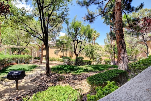 8717 Red Brook Dr Unit 201, Las Vegas, NV 89128 - view of community with a yard