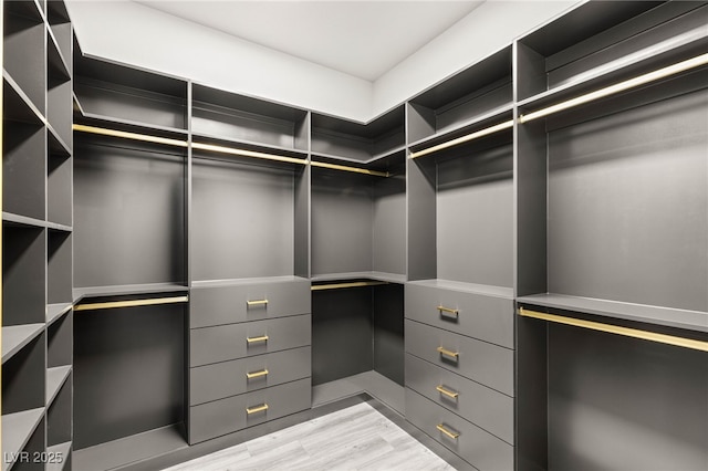 9029 Rivers Edge Dr, Las Vegas, NV 89117 - spacious closet with light wood-type flooring