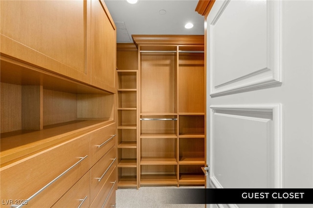 9101 Alta Dr Unit 102, Las Vegas, NV 89145 - view of spacious closet