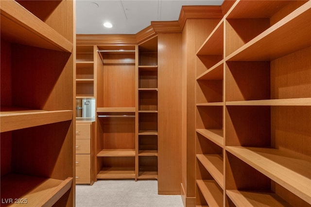 9101 Alta Dr Unit 102, Las Vegas, NV 89145 - walk in closet featuring carpet