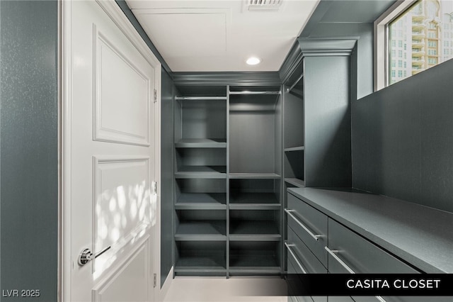 9101 Alta Dr Unit 102, Las Vegas, NV 89145 - view of spacious closet