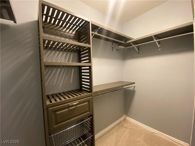 5376 S Conquistador St, Las Vegas, NV 89148 - walk in closet with light colored carpet