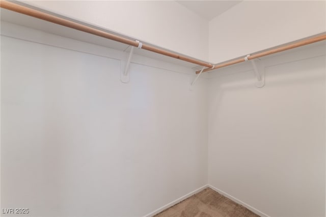 2825 Shayla Bay Ave, North Las Vegas, NV 89086 - walk in closet featuring light carpet